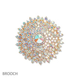 107451, FLORAL CRYSTAL RHINESTONE BROOCH PIN