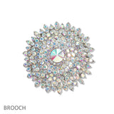 107451, FLORAL CRYSTAL RHINESTONE BROOCH PIN