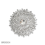 107451, FLORAL CRYSTAL RHINESTONE BROOCH PIN