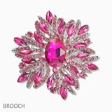 107432, FLORAL CRYSTAL RHINESTONE BROOCH PIN