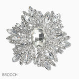 107432, FLORAL CRYSTAL RHINESTONE BROOCH PIN