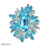 107437, FLORAL CRYSTAL RHINESTONE BROOCH PIN