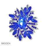 107437, FLORAL CRYSTAL RHINESTONE BROOCH PIN