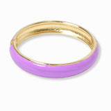 102225, ENAMEL HINGED BANGLE BRACELET