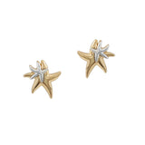 103204, STARFISH STUD EARRING