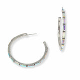 103445, WESTERN RHINESTONE ROUND HOOP EARRING