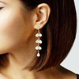 103646, CRYSTAL BEADED DANGLE EARRING
