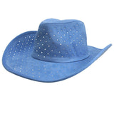 110667, CRYSTAL EMBELLISHED SUEDE COWBOY HAT