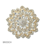111187, CRYSTAL BOTANICAL BROOCH PIN wholesale fashion jewelry - GOOD FEELINGS, INC