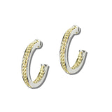 113543, 14K GOLD PLATED DOTTED TEXTURE HOOP EARRINGS