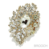 90075, MULTI RHINESTONE EVENING PIN BROOCH