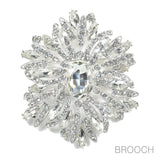 96851, OVAL RHINESTONE ACCENT PIN BROOCH