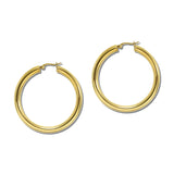 Chunky Tube Stainless Steel Hoop Earrings – Gold · SSE252G_IVY IMG_6229