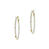 Pave Rhinestone Slim Stainless Steel Hoop Earrings – Gold/Clear · SSE201G_IVY IMG_6234